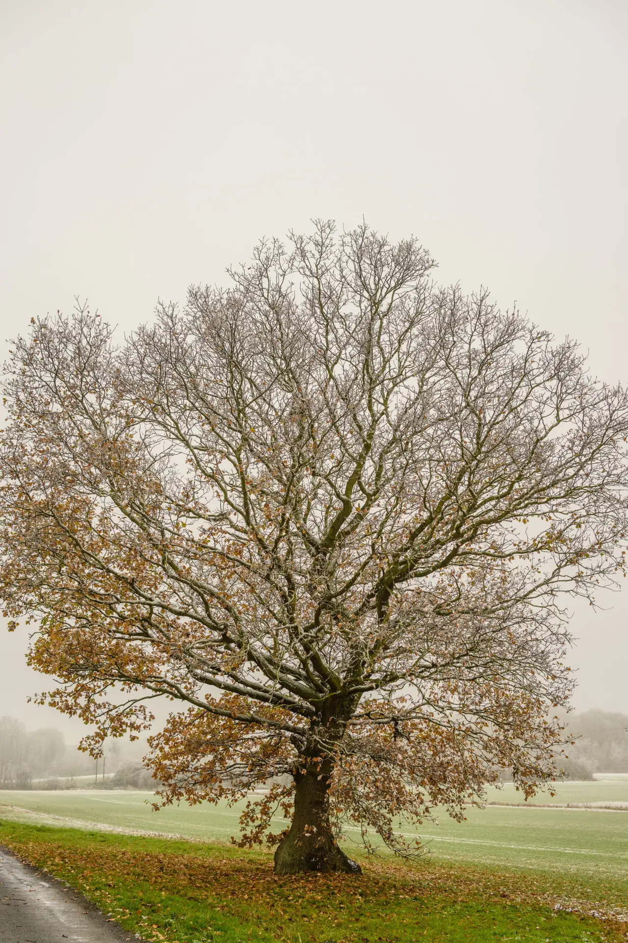 November